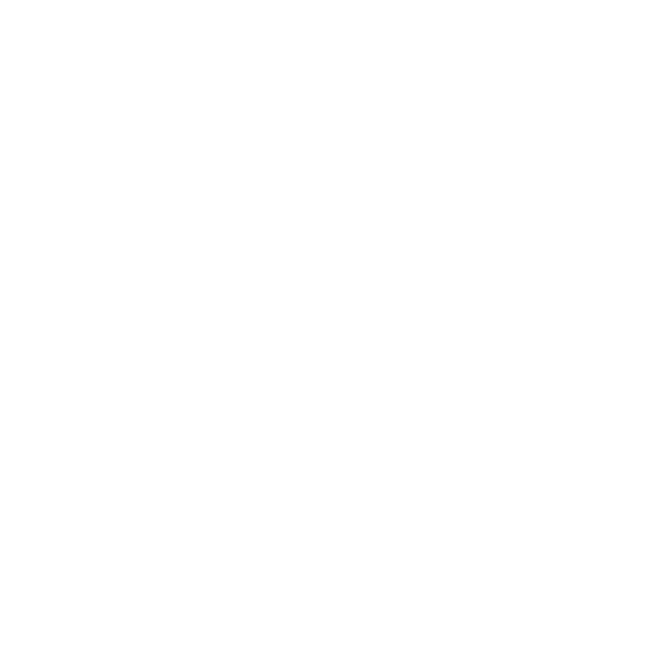 bib 